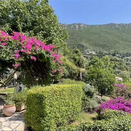 Tatil Evi Hoolit House